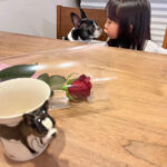 母の日⸜ 🌹 ⸝