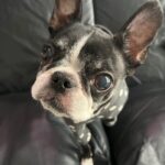 ちょっとお休みしてましたが…