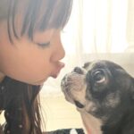 歯の妖精🧚‍♀️