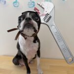 2025　HALLOWEEN👻