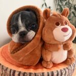 ぬくぬく派と元気っ子